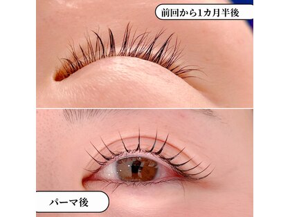 ハッチ(hacchi)の写真