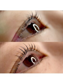 フィール(feel)/マシュマロッド