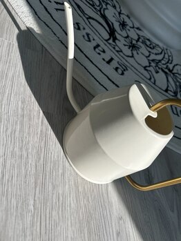 ヒールパーム(Heal Palm)/