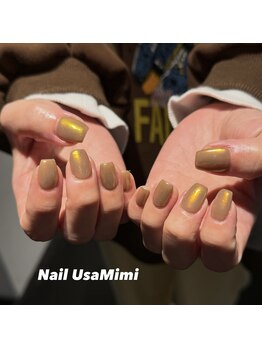 ネイル ウサミミ(Nail UsaMimi)/オーロラネイル