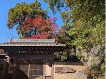 青空とのコラボレーション