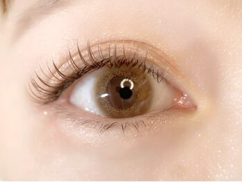 ティンカーベル(Tinkeer bell)/カラエク(カーキブラウン)