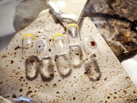 7月jr monthlyDesign plus