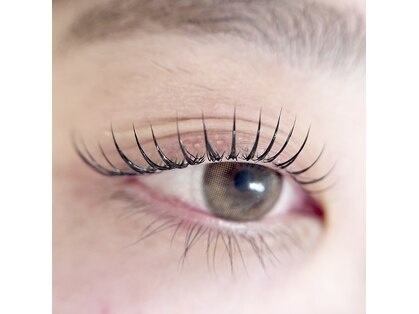 アイサプリメント(eye supplement)の写真