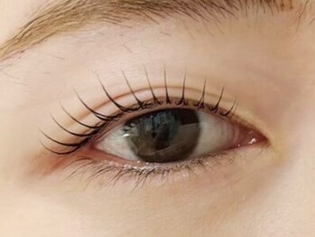 TAJISAS LASH【9/2 OPEN（予定）】の写真/細くて少ないまつ毛や下がり癖などにお悩みの方必見◎お悩みに合わせた丁寧な施術で理想の目元を実現☆