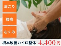 あらたま健康カイロ