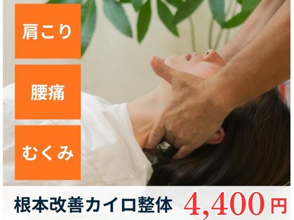 あらたま健康カイロの写真