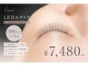 【初回300本迄】LED無料★オフ込セーブル¥7480