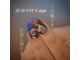 セサニーエヌスタイル(SE SUNNY N-style)の写真