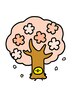 春特別価格★【Vデザイン無料/保湿/冷却付】初回男性VIO 光脱毛