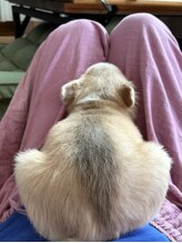 サロン ド ピラティス ラワンデル(salon de pilates) ぺこりーの