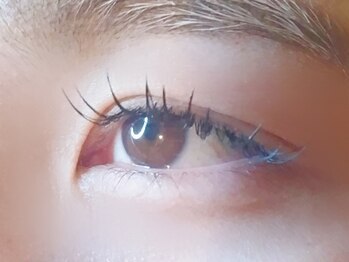 ラシク ベル(Lashiku Belle)/フラットラッシュ