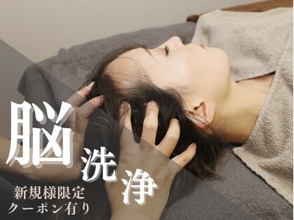 エル(aille)の写真