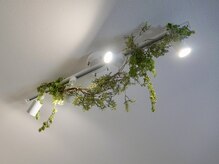 ラピスラズリ/光と緑の光輝く隠れ家サロン