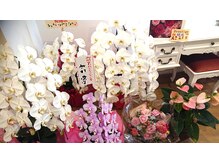 プレステージ 白金台(Prestige)/お花