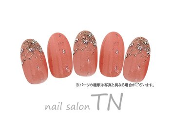 ティーエヌ イオン新潟青山店/1月季節の定額5900円コース