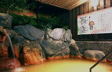 南道後温泉 ていれぎの湯