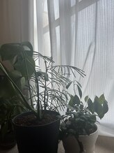 サロンベールカタコリ(BELL)/植物いっぱい♪