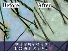 海ここち