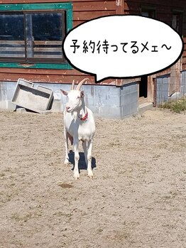 アイディアルボディ(ideal body)/ご予約はお電話、ネットで◎