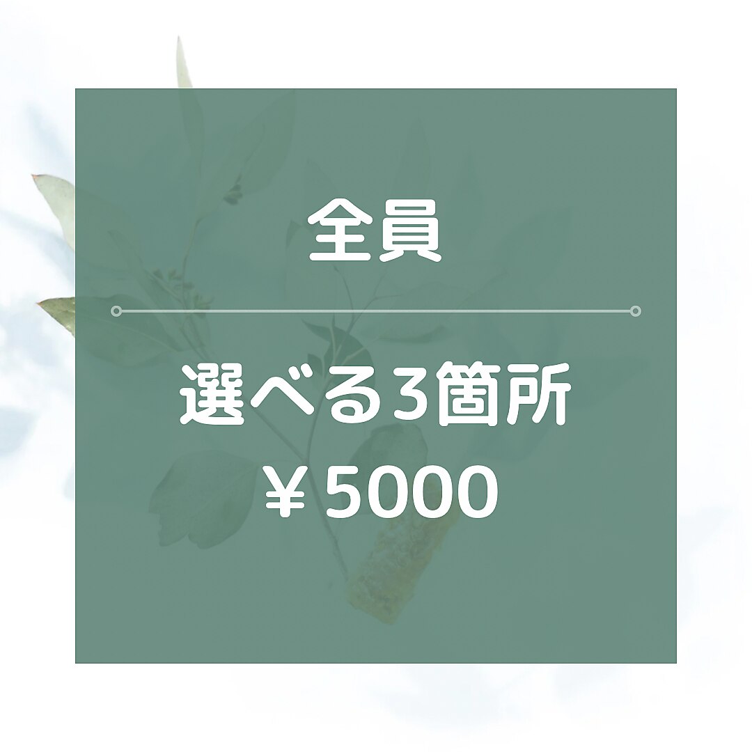 【男女OK】 ★☆選べる3箇所/\5000☆★40分