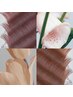 【春限定】オトナ可愛い♪ふんわり血色ピンクカラー＋ブラウンラッシュ/120本