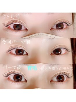 ジュエリーアイラッシュ(Jewelry eyelash)/パリジェンヌ♪