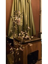 ミホズルーム(Miho‘s room)/お花見蒸し