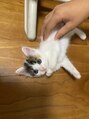 IBC 上大岡店 自宅で保護猫を飼っています