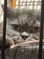 メリス(Mellis)&nbsp;動物好きで特に猫が好きです(*^^*)♪♪♪