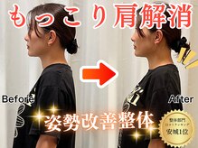 リブ(LIB)