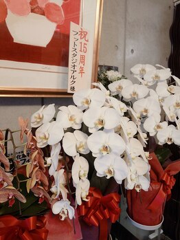 フットスタジオ アルク(FOOT STUDIO ALUK)/【おかげさまで15周年】