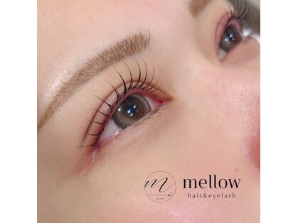 メロウ(mellow)の写真