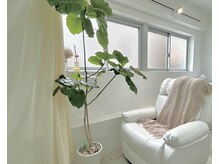 ルーツ 巣鴨店(roots)の雰囲気（半個室のゆったり空間です◎《パリジェンヌ/眉毛/HBL/まゆげ》）