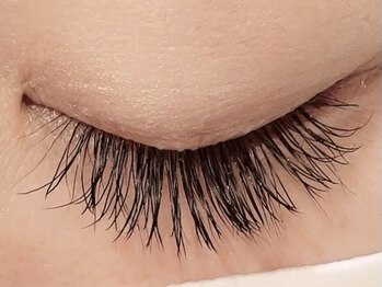 カラン 焼津店(CALIN)/フラットラッシュ140本