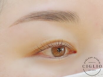 チリオ(CIGLIO)/ハリウッドブロウリフト