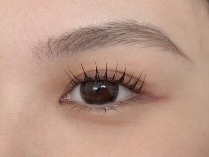 ノエル(30 Noel)の写真