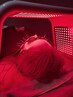 【月～金18:00～21:00限定】電気美容鍼・LED・美容液　￥12,000 → ￥5,000