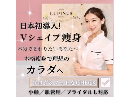 ルピナス ヒサヤ(LUPINUS hisaya)の写真