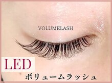 ストライプ 志木店/【3Dボリュームラッシュ】