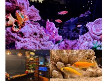 からだととのえサロン　ハオルチアの雰囲気（鳥のさえずりと、植物と魚達に癒されながら、至福のひとときを）
