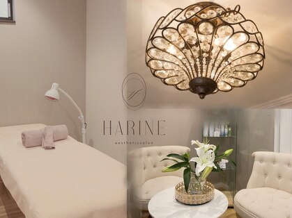 ハリーネ(HARINE)の写真