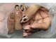 アマテラス(AMATERAS)の写真