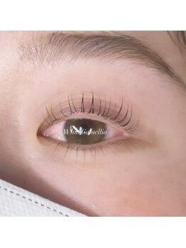 ホワイトカメリア 梅田茶屋町店(White Camellia)/まつ毛パーマ/マツエクサロン