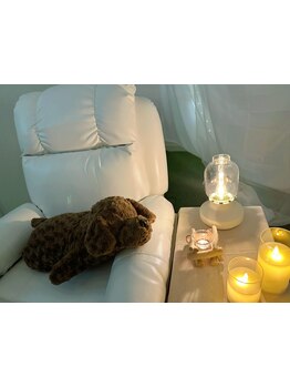 ヘッドスパで癒されたい