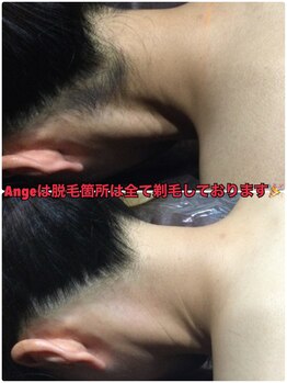 アンジュヴィバラヴィーダ(Ange viva la vida)/★SHRしか効果無い★