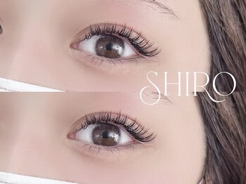 スワン 浜松 田町(SUWAN)/バインドロック100束