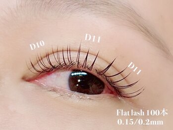 ダズル(DAZZLE)/フラットラッシュ　100本