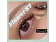 フラワー(Flower87)の写真