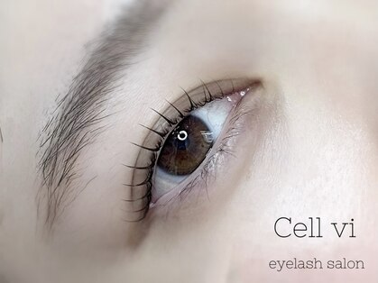 セルヴィ(Cell vi)の写真